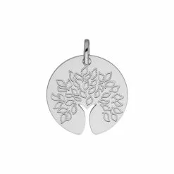 Descours 1893 Médaille Arbre De Vie En Or Blanc, Laque