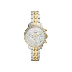 Montre Fossil Neutra ES5216